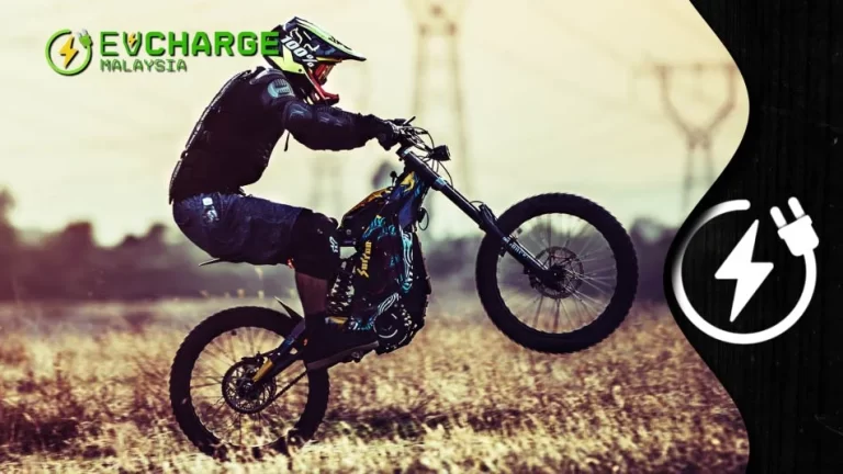 Light Bee X, Sur-Rron Electric Bike Series Review