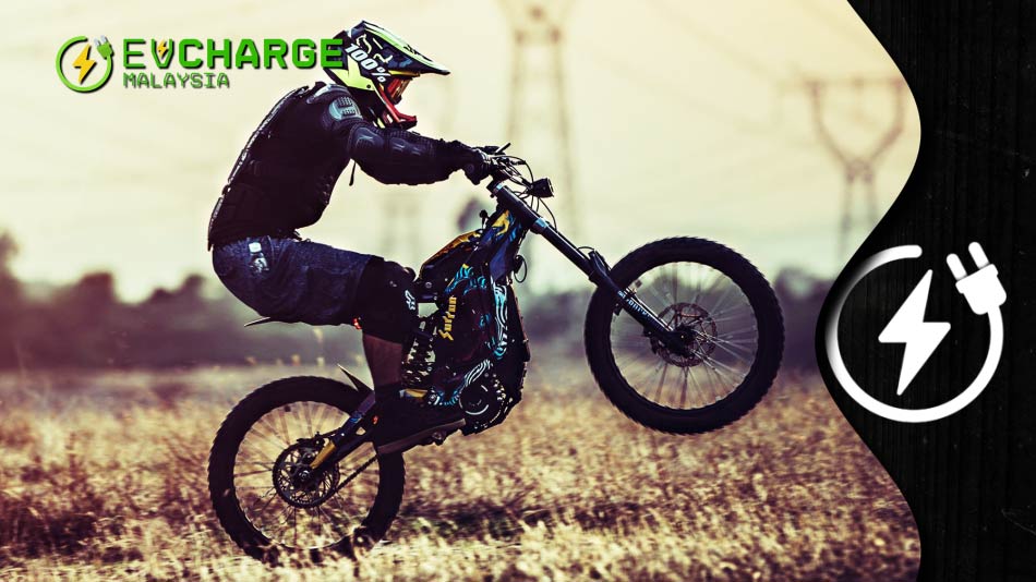 Light Bee X, Sur-Rron Electric Bike Series Review